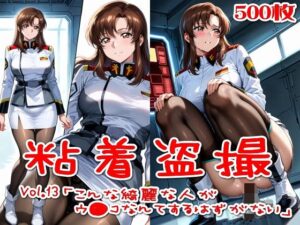 【500枚】粘着盗撮Vol.13「こんな綺麗な人がウ●コなんてするはずがない」【SUPER-PIPELINE】  エロ画像758053